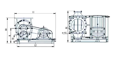 SRV Blow-Through Rotary Valve